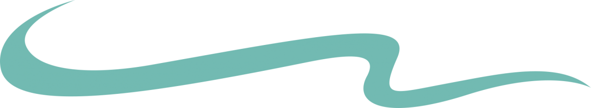 squirl teal